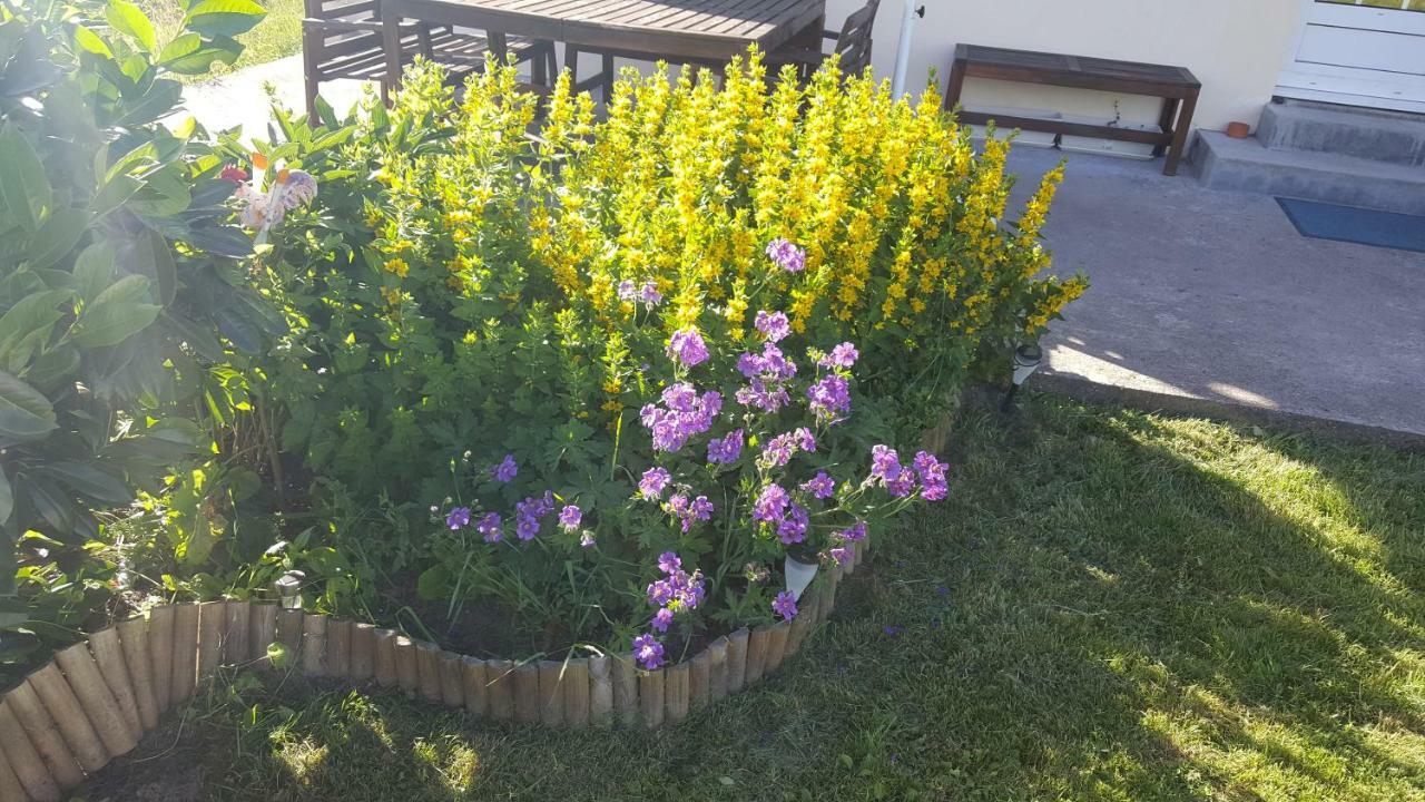 Gite Noa Xonrupt-Longemer Dış mekan fotoğraf